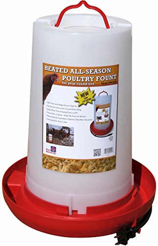 Farm Innovators Model HPF-100 All-Seasons Heated Plastic Poultry Fountain, 3 Gallon, 100-Watt